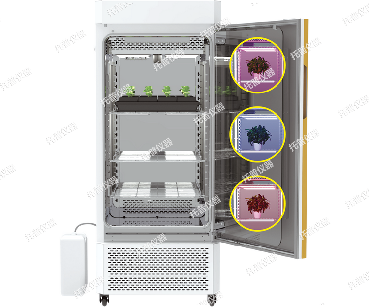 环控型植物活体影像分析仪